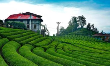 Uçaklı Karadeniz Yaylalar Batum Turu | 4 Gece Otel Konaklamalı