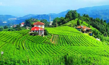 Bursa Çıkışlı Karadeniz Yaylalar ve Batum Turu | 3 Gece Otel Konaklamalı