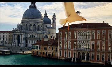 Thy ile Grand Viva İtalya Turu - FCO-MXP