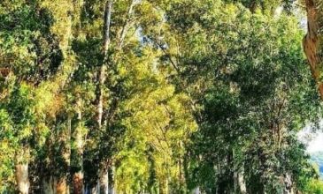 Sakarya Çıkışlı Likya Turu | 3 Gece Otel Konaklamalı